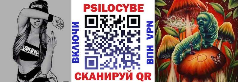 Псилоцибиновые грибы Psilocybe  Купить  Октябрьск 